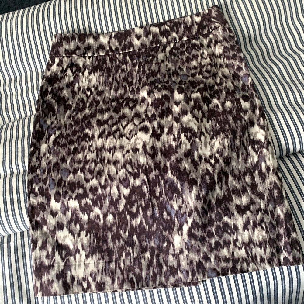 J Crew Dress Skirt